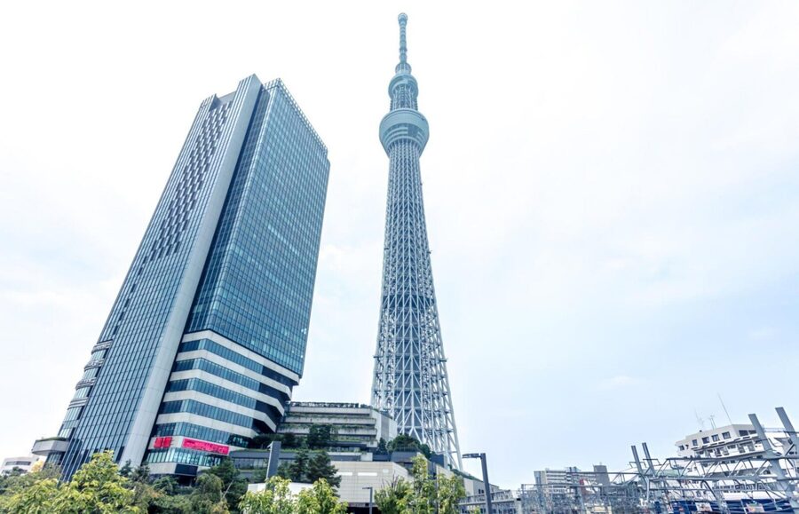 Tokyo Full-Day Tour Skytree Meiji Shrine With English Driver - What the private car changes for your day