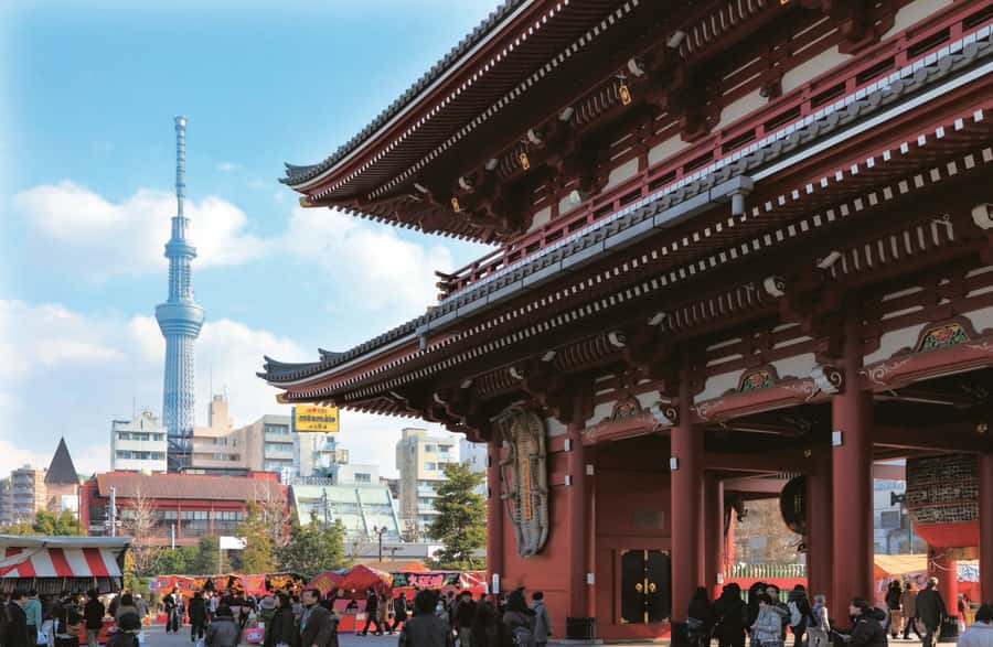 Tokyo: Full-Day Tour w/Tea Experience,Buffet Lunch & Cruise - Tokyo Tower and the final city view
