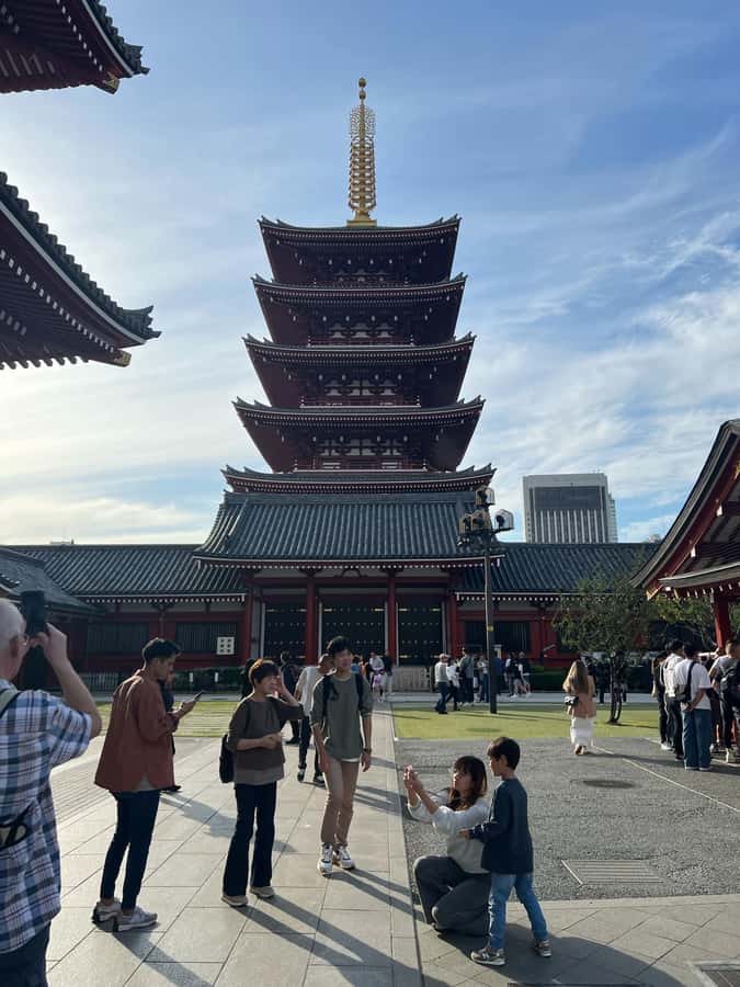 Tokyo Full-Day Tour with Private Car - A private car gives you a quick first look at Tokyo