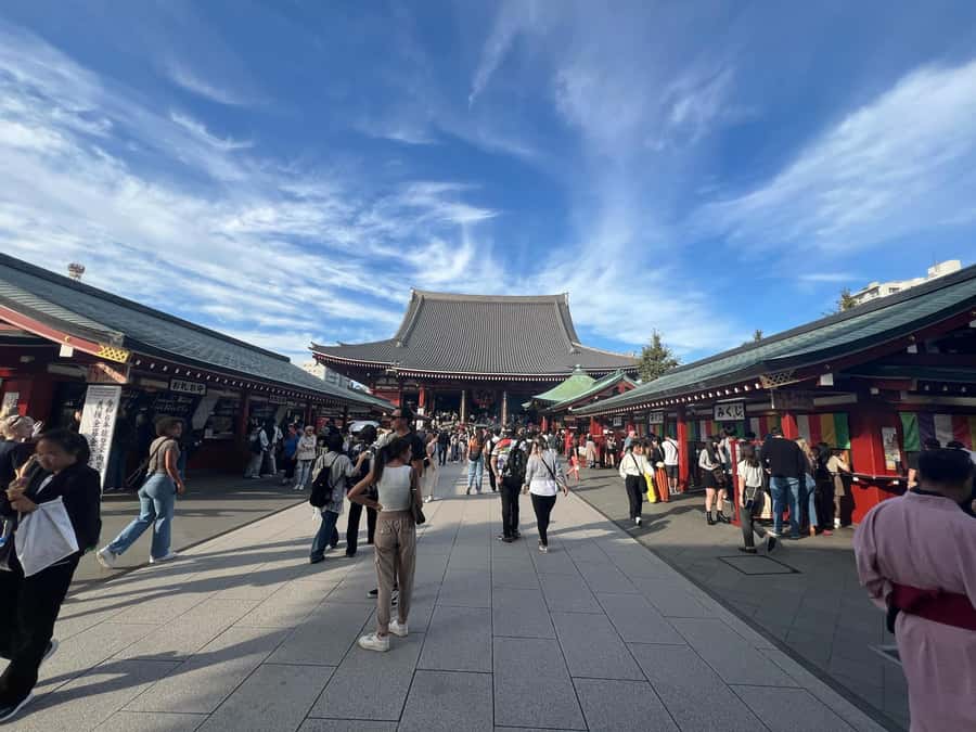 Tokyo Full-Day Tour with Private Car - Meiji Shrine starts the day in a forested quiet zone