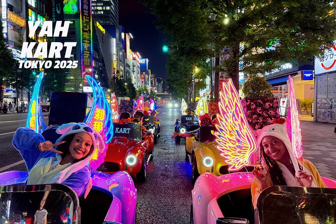 Tokyo Go Kart Tour in Akihabara (IDP Required) - What this Tokyo kart ride is really like