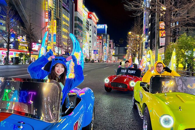 Tokyo Go Kart Tour in Akihabara (IDP Required) - The most important issue: Japanese driving documents