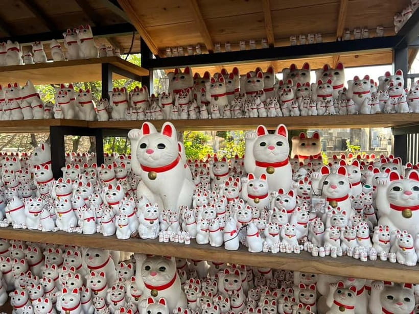 Tokyo: Gotokuji Culture Walk & Lucky Cat Temple Experience - Key points at a glance