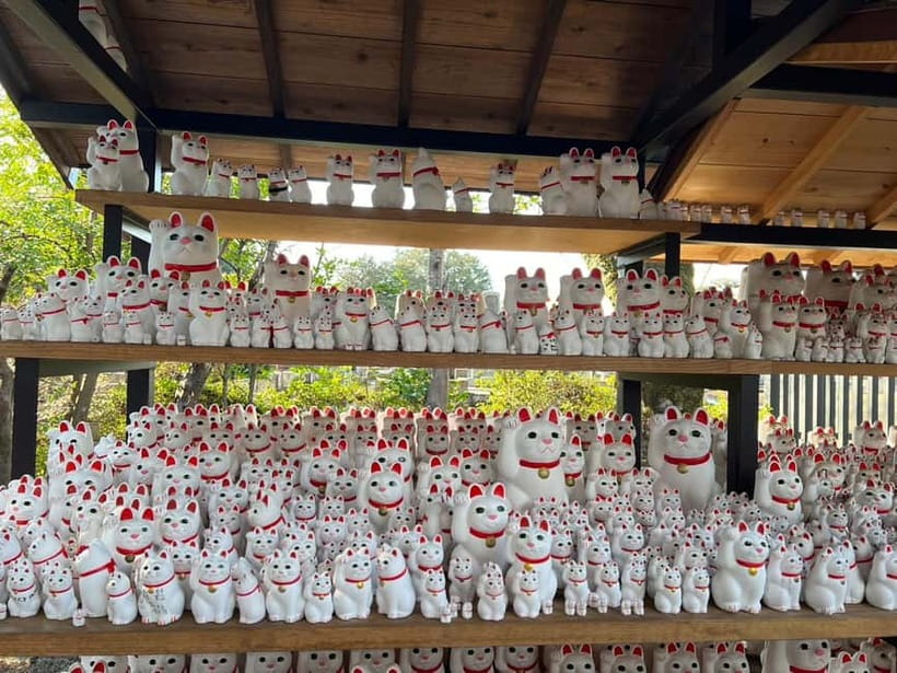 Tokyo: Gotokuji Culture Walk & Lucky Cat Temple Experience - Who will enjoy this walk most