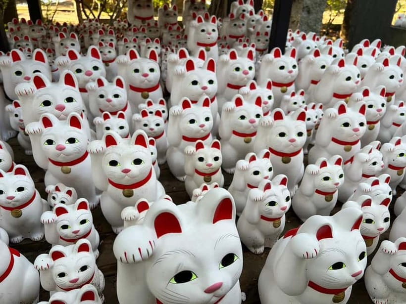 Tokyo: Gotokuji Culture Walk & Lucky Cat Temple Experience - The first temple stop: 15 minutes for photographs