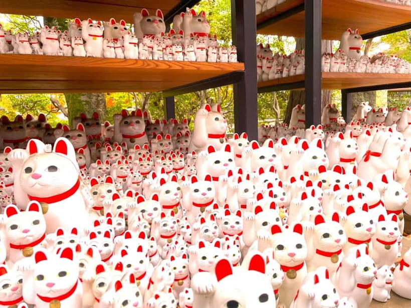 Tokyo: Gotokuji Lucky Cat Temple & Harajuku Cat Cafe Tour - Key points at a glance