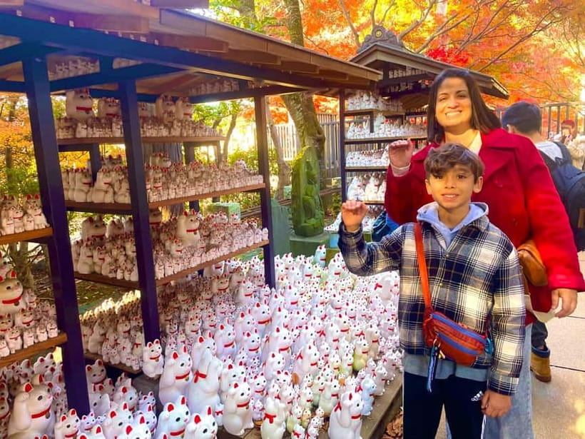 Tokyo: Gotokuji Lucky Cat Temple & Harajuku Cat Cafe Tour - Why Gotokuji Temple makes this tour special