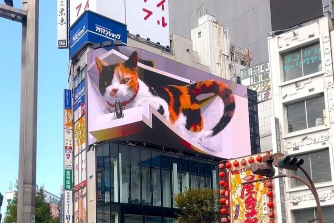 Tokyo: Gotokuji Lucky Cat Temple, Shinjuku Cat Cafe, 3D Giant Cat - Thirty minutes with the cats at Cat Cafe MOCHA