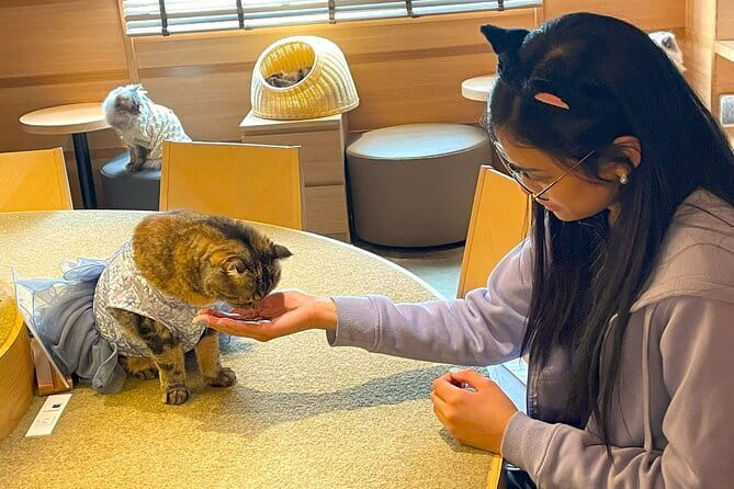 Tokyo: Gotokuji Lucky Cat Temple, Shinjuku Cat Cafe, 3D Giant Cat - Starting with Shinjuku’s giant 3D cat