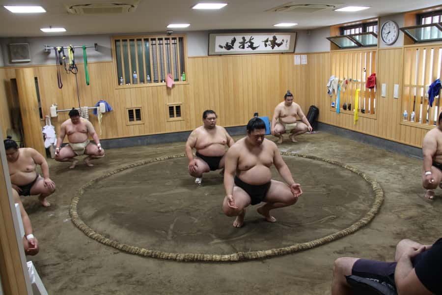 Tokyo: Grand Sumo Morning Training Tour - Key points to know before booking