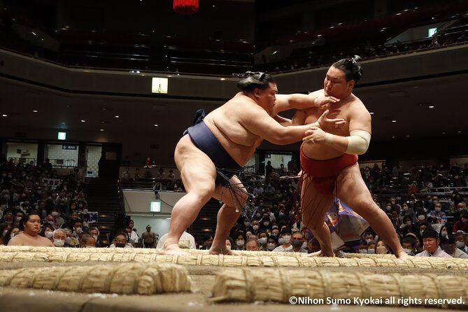 Tokyo Grand Sumo Tournament Viewing Tour with Tickets - Walking Into Ryogoku Kokugikan