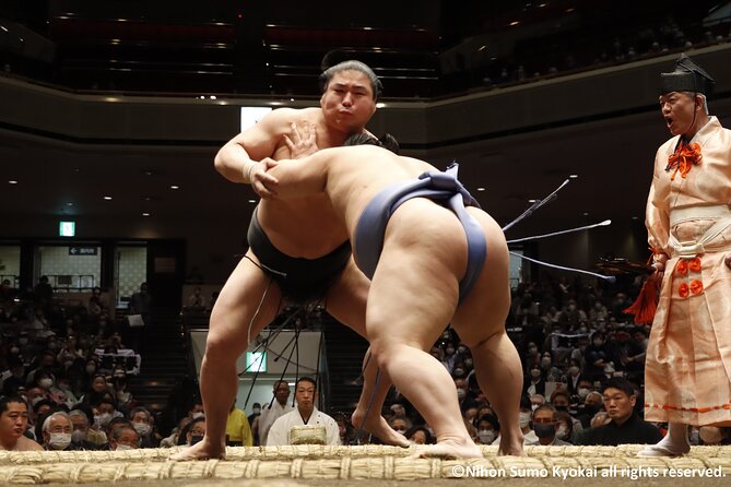 Tokyo Grand Sumo Tournament Viewing Tour with Tickets - What the Guide Adds Inside the Arena