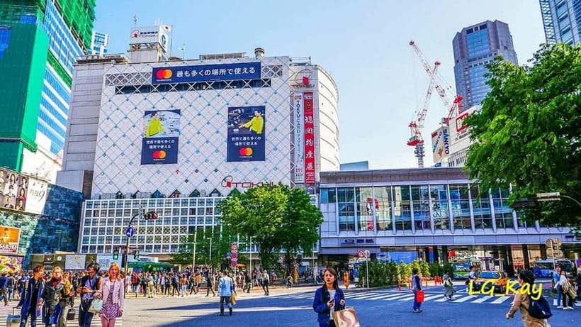 Tokyo: Guided Exploration with a Private Driver - Key points to know before booking