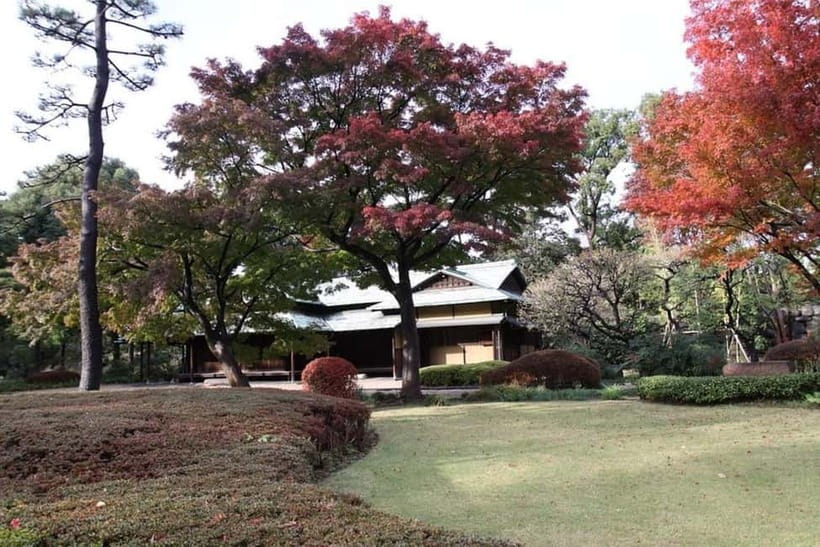 Tokyo: Guided Exploration with a Private Driver - Tokyo Tower and the Imperial Palace
