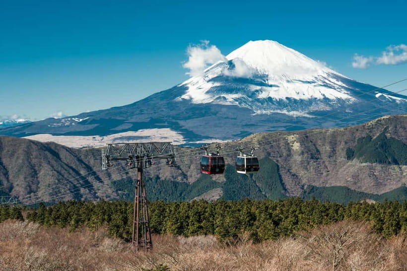 Tokyo: Hakone Fuji Day Tour w/ Cruise, Cable Car, Volcano - Who Should Book This Tour?