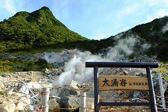 Tokyo: Hakone Fuji Day Tour w/ Cruise, Cable Car, Volcano - Owakudani, Sulfur Steam, and the Seven-Year Egg