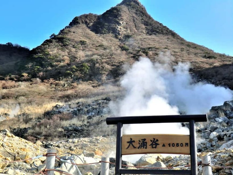 tokyo:Hakone Owakudani & Gotemba Premium Outlet 1d Tour - Two and a Half Hours at Gotemba Premium Outlets