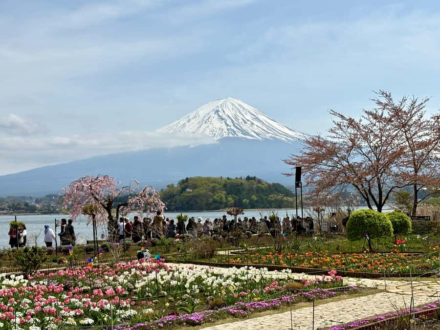 Tokyo: Hakone’s Best Onsen Tour with Lake Ashi Cruise - What the private car changes