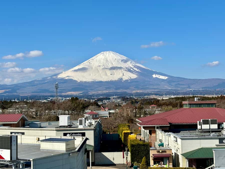Tokyo: Hakone’s Best Onsen Tour with Lake Ashi Cruise - Practical details before you book