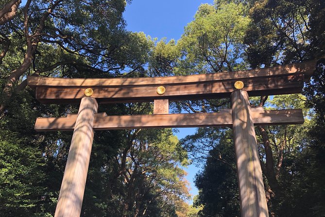 Tokyo Half-day Customized Private Tour - Key points to know before booking