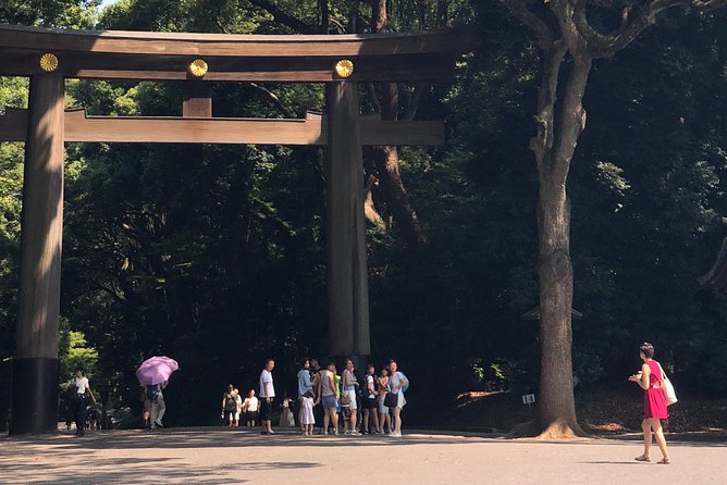 Tokyo Half-day Customized Private Tour - Why the morning timing can work well