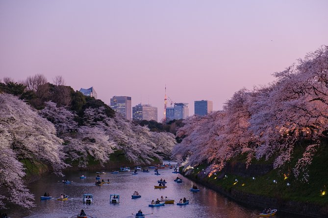 Tokyo Half-day Customized Private Tour - What the guide commentary should add