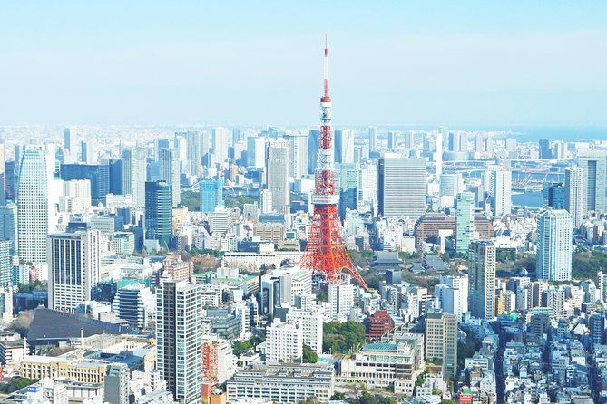 Tokyo Half-day Customized Private Tour - Families, couples, and first-time visitors
