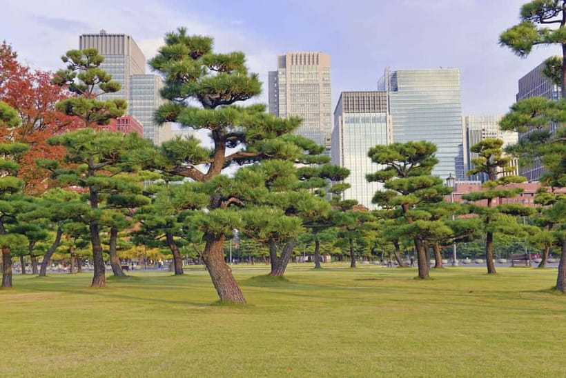 Tokyo: Half-Day Morning Small Group Tour - Who will get the most from this tour