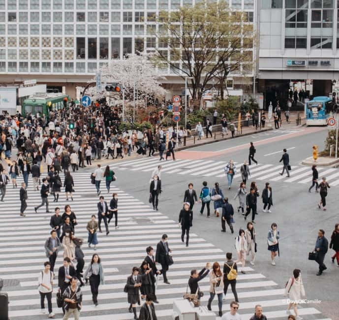 Tokyo, half day : private tour with an expert ! - Three Tokyo icons in four hours