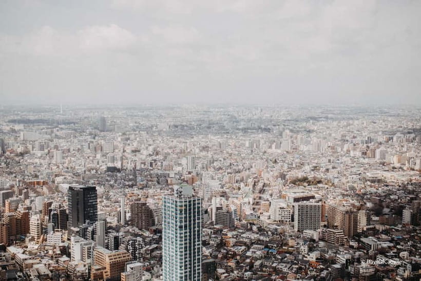 Tokyo, half day : private tour with an expert ! - Meiji Shrine and its forested setting