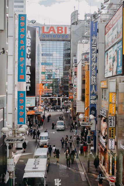 Tokyo, half day : private tour with an expert ! - What private really means here