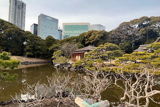 Tokyo: Hama-rikyu Gardens tour with Japanese Tea & Sweets - Key points to know before booking