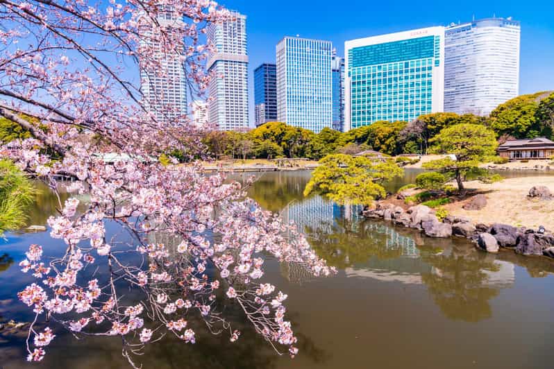 Tokyo: Hama-rikyu Gardens tour with Japanese Tea & Sweets - Timing, meeting points, and useful planning