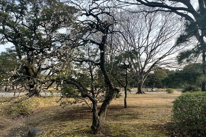 Tokyo: Hama-rikyu Gardens tour with Japanese Tea & Sweets - Reading the dry garden and circular garden