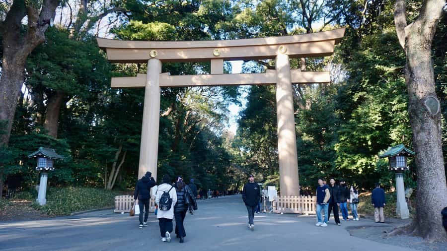 Tokyo: Harajuku Meiji Shrine Guided Tour-Discover Shinto - Walking through the torii gates and forest paths