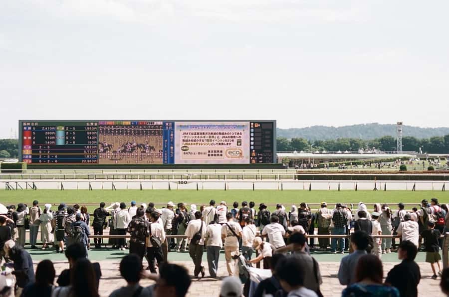 Tokyo: Horse Racing Tour with Local Fan - Why Japanese horse racing makes a strong Tokyo side trip