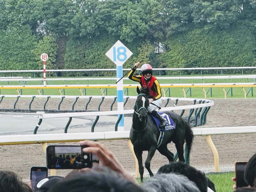 Tokyo: Horse Racing Tour with Local Fan - Choosing between Tokyo, Nakayama, Oi, and Kawasaki