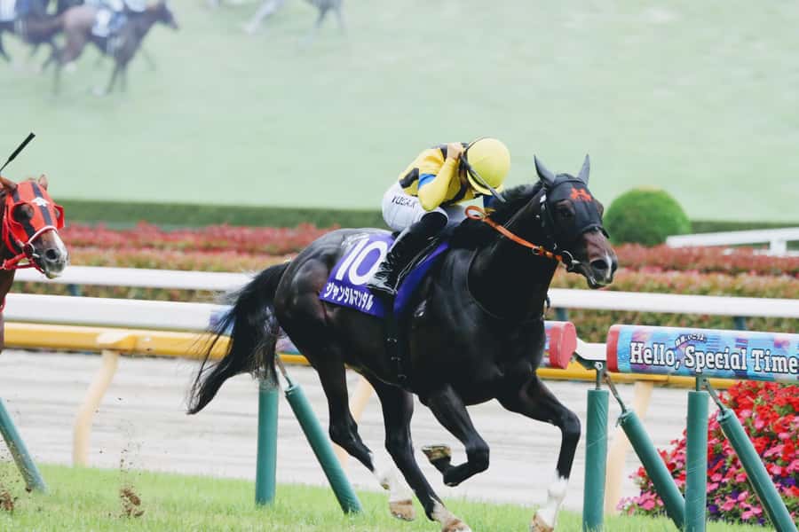 Tokyo: Horse Racing Tour with Local Fan - Learning the rules before placing a bet