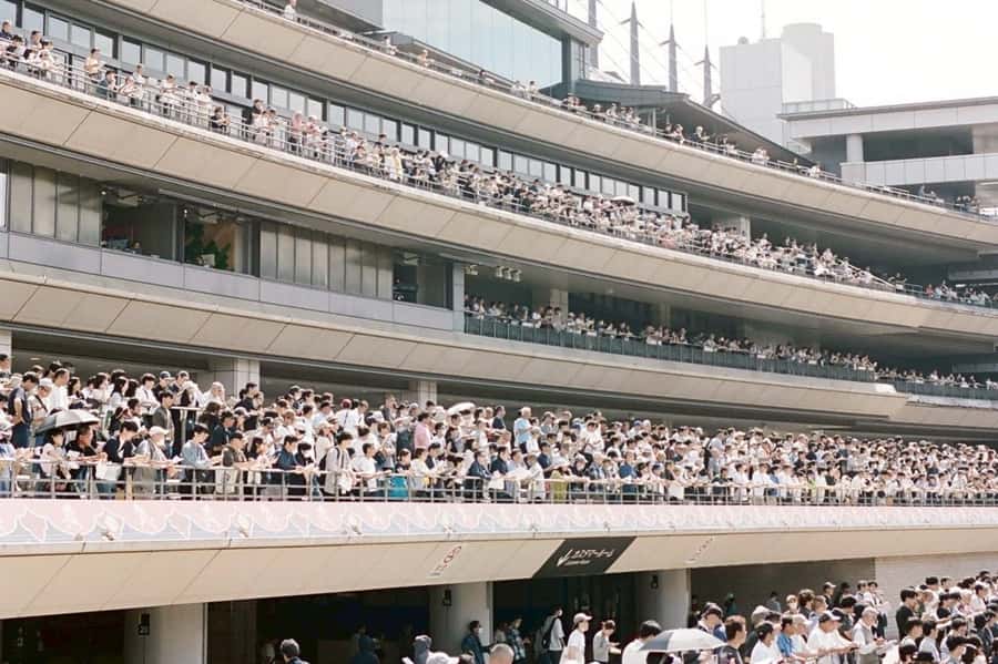 Tokyo: Horse Racing Tour with Local Fan - What Eito adds to the experience