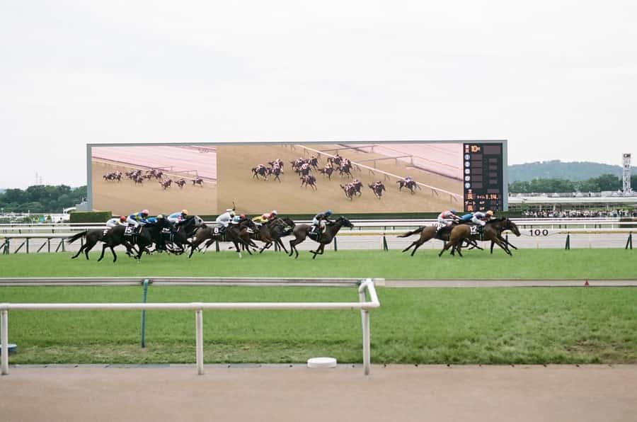 Tokyo: Horse Racing Tour with Local Fan - Meeting your guide and getting inside