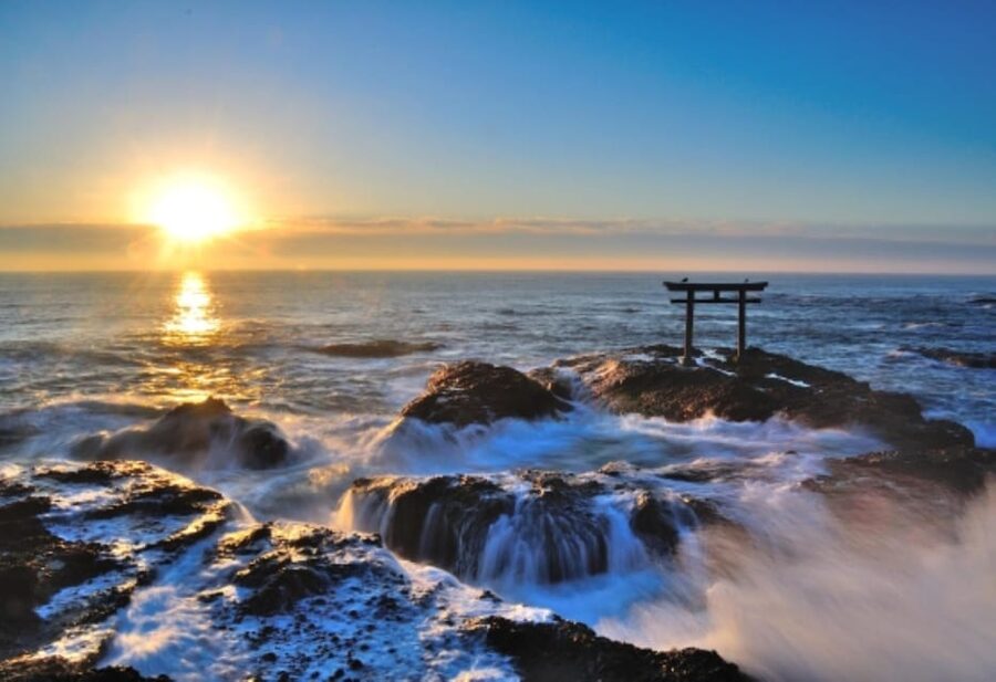 Tokyo: Ibaraki Shrine, Seafood Market & Flower Sea Day Tour - The Tokyo meeting point needs careful attention