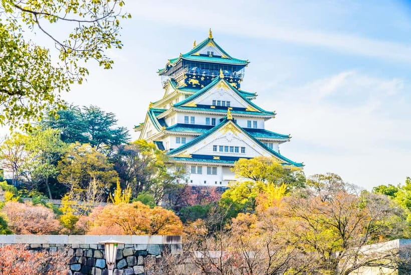 Tokyo: Iconic City Tour – Skytree, Shibuya & Imperial Palace - Meiji Shrine: quiet woods beside Harajuku