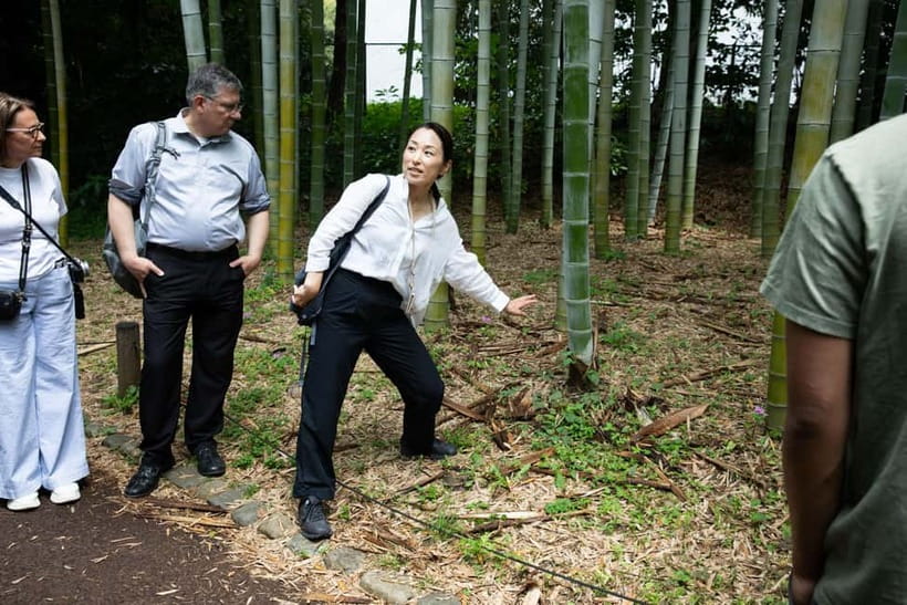 Tokyo: Imperial Palace East Gardens Walking Tour - Practical details that shape the visit