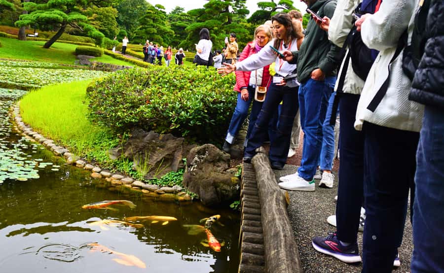 Tokyo: Imperial Palace Japanese History Walking Tour - Key points at a glance