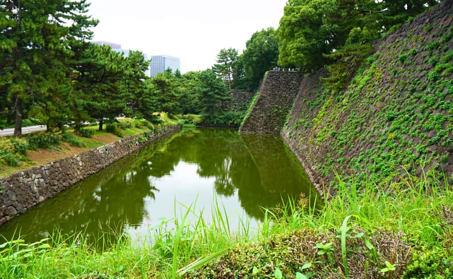 Tokyo: Imperial Palace Japanese History Walking Tour - Who should book this palace walk?