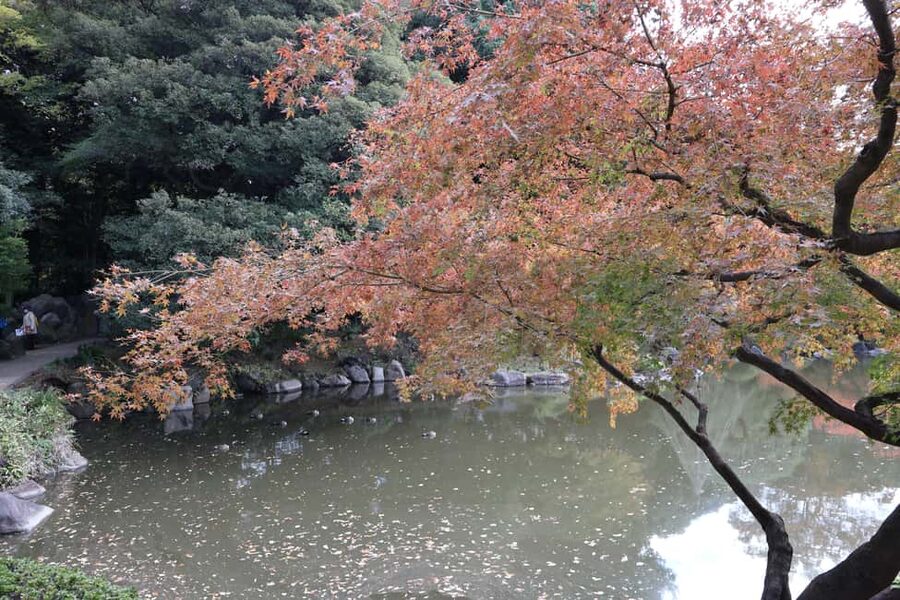 Tokyo Imperial Palace Walking Tour with Expert Guide - Tenshudai, the castle’s high point