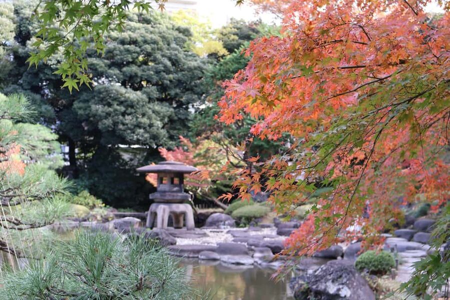 Tokyo Imperial Palace Walking Tour with Expert Guide - Comfort, access, and the walking pace