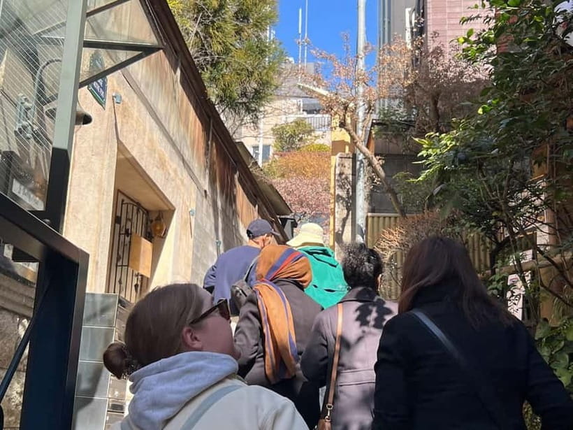 Tokyo: Imperial Palace with Nostalgic Alley Kagurazaka tour - Walking comfort, group size, and the best fit