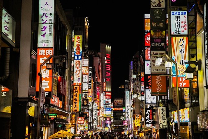 Tokyo in a Day : Private Tour to Shrine, Temples, Towers &Culture - The Imperial Palace Area in Thirty Minutes