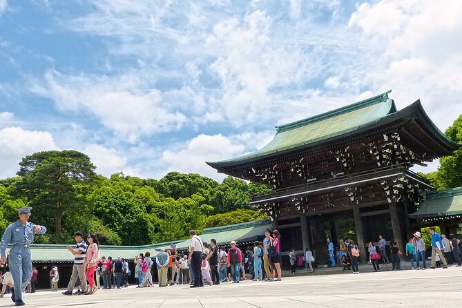 Tokyo in a Day : Private Tour to Shrine, Temples, Towers &Culture - Akihabara: One Hour for Tokyo’s Pop Culture Center